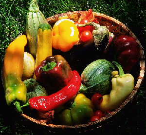 fruits.jpg (18830 bytes)